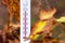 The thermometer on the background of autumn leaves shows 18 degrees of heat. Warm autumn_