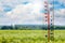 The thermometer on the background of the summer landscape shows 30 degrees of heat_