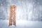 Thermometer with Celsius scale placed in a fresh snow