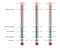 Thermometers Set Fahrenheit Celsius Kelvin Temperature Division