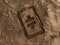 Theta Crypto Ground Hole Dry Fossil Dead Excavation 3D Illustration