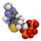 Thiamine triphosphate molecule. 3D rendering. Atoms are represented as spheres with conventional color coding: hydrogen (white),