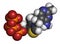 Thiamine triphosphate molecule. 3D rendering. Atoms are represented as spheres with conventional color coding: hydrogen (white),