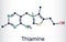 Thiamine, vitamin B1 molecule. Found in food, used as a dietary supplement and medication Skeletal chemical formula. Vector