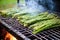 thick asparagus stalks on thin grill wires, smoking