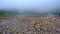 A thick cloud of fog at the foot of the High Tatras in Slovakia. The rocks are covered with mist clouds.