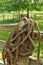 Thick Coiled Manila Rope Hanging over a Wooden Fencepost in a Rural Ranch Setting in Summer