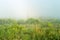 Thick cold fog over meadows and rising sun rainbow