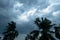 Thick dark black heavy storm clouds covered summer sunset sky horizon. Gale speed wind blowing over blurry coconut palm tree