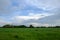 Thick field grass. A beautiful cloudy sky. Evening landscape