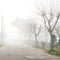 Thick fog lies over a cracked asphalt country road with leafless winter trees