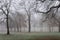 Thick fog in London park