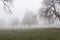 Thick fog in London park