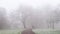 Thick fog in London park