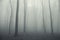 Thick fog in a spooky dark forest in winter