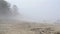 Thick fog spread on sandy beach of Finnish gulf