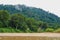 Thick forest vegetation seen during a boat tour on the Tembeling River in Pahang, Taman Negara National Park, Malaysia