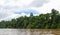 Thick forest vegetation seen during a boat tour on the Tembeling River in Pahang, Taman Negara National Park, Malaysia