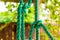 Thick and green braided plastic rope with knot background vertical