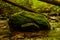 Thick Green Moss Covers Small Boulder In Unknown Creek