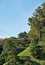 Thick greenery around the Edo castle wall. Tokyo Imperial Palace. Tokyo. Japan