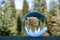 Thick Grove of Pine Forest Captured in Globe Reflection