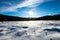 Thick layer of melted snow, lifeless vegetation