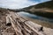 Thick old beams from the pier lie near the water.