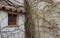 Thick, overgrown roots entangled the wall of the house