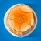 Thick pancakes with honey on plate. Stack of pancakes. Isolated on blue vector cartoon illustration. Russian holiday