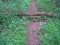 THICK TREE BRANCH LYING ACROSS A HIKING TRAIL IN SOUTH AFRICAN LANDSCAPE