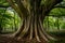 Thick trunk of tall tree in city park, urban nature photo