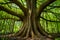 Thick trunk of tall tree in city park, urban nature photo