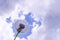 Thickening clouds before the rain over a dandelion, blurred background