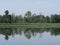 Thicket reflected in waters of breeding pond in Goczalkowice in Poland