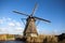 Thickets of a cane on the background of the Dutch wind mill.