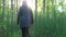 Thickets of horsetail in the forest. The girl is walking through the thickets.