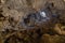 Thien Cung Cave sprawling natural grotto with intricate stalactite & stalagmite formations in Halong Bay Vietnam Indochina