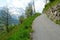 A thin asphalt road built on a steep slope in region Engelberg canton Obwalden in Switzerland in springtime with view on the Alps