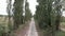 Thin cobblestone path with thick bushes and trees. Countryside landscape with empty cobbled road. Stone paved road