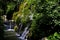 Thin and fresh waterfalls in the lush green, Morigerati, Cilento, Campania, Italy
