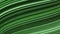Thin green colored lines with light flares. Animation. Wave like movements of the flat fibers, seamless loop.