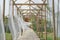 Thin and light curtains blown by the wind along bamboo walkway