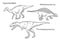 Thin line engraving style illustrations, various kinds of prehistoric dinosaurs, it includes iguanodon, tyrannosaurus t