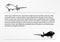 Thin line icons and solid icons for Airplane. transportation. vector illustrations