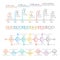 Thin line timeline charts vector templates set for business presentation