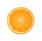 Thin orange fruit slice isolated on a white background. Ctrus round slice. Food background