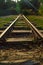 Thin Railway in a forest