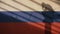 Thinker Shadow on Russia Flag and Concrete Wall