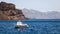 Thirasia Island Santorini Greece Europe